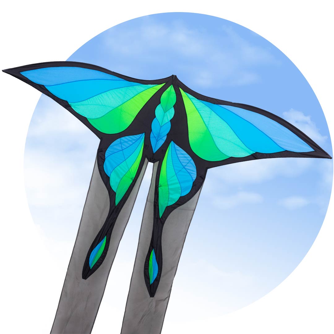 BRASINGTON'S LUNAR MOTH