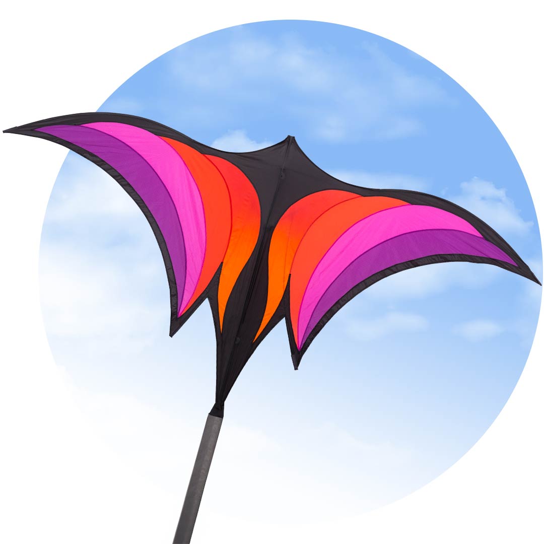 BRASINGTON'S RAVENSWING