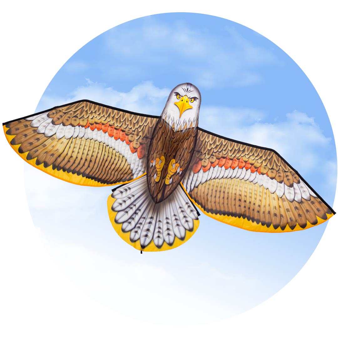 BIRD KITE EAGLE