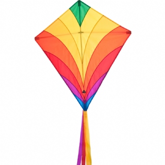EDDY RAINBOW